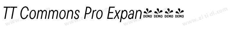 TT Commons Pro Expan字体转换 TT Commons Pro Expan字体转换